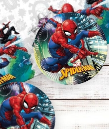 Spiderman Themed Party Supplies | Packs | Ideas